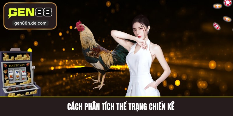 Cách phân tích thể trạng chiến kê