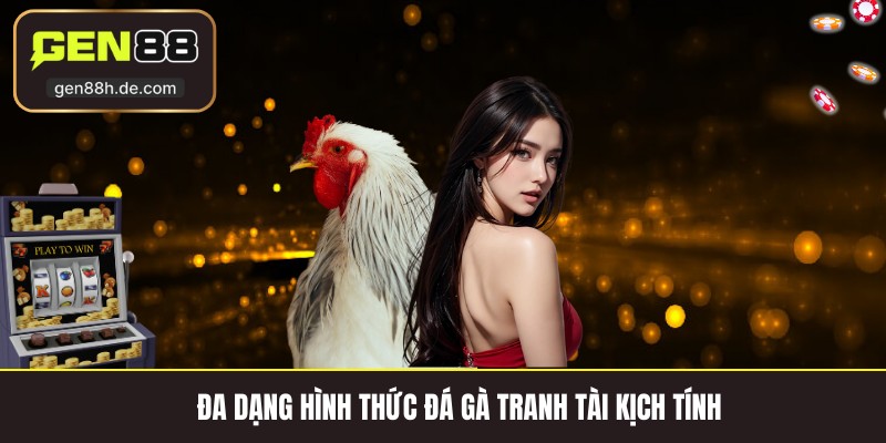 Đa dạng hình thức đá gà tranh tài kịch tính