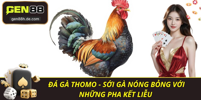 Đá Gà Thomo
