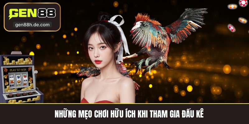 Những mẹo chơi hữu ích khi tham gia đấu kê